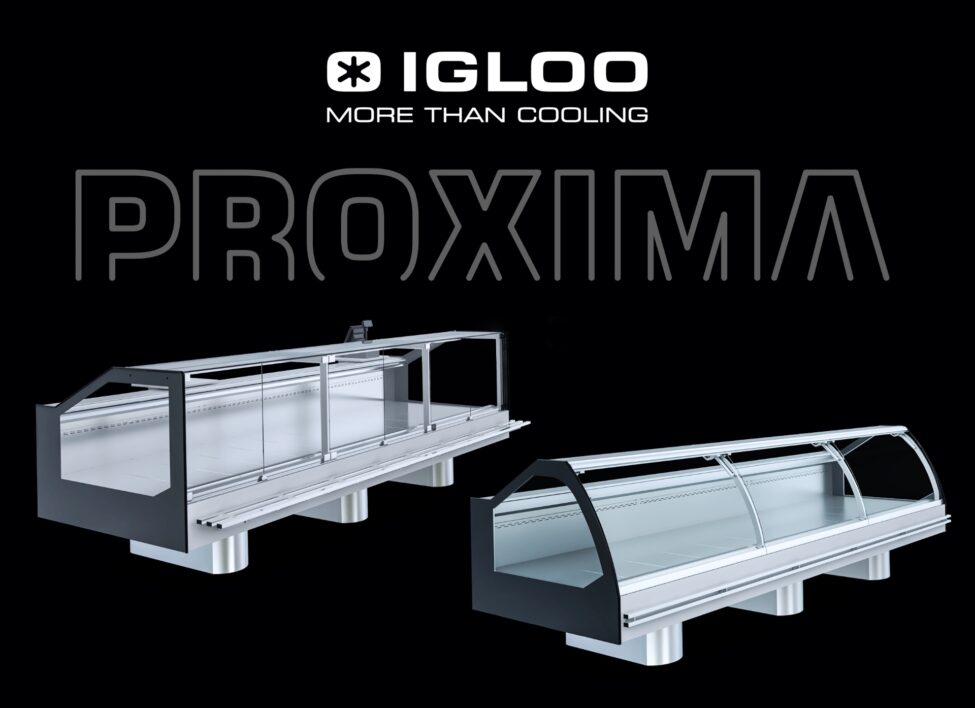 Igloo-Proxima-1